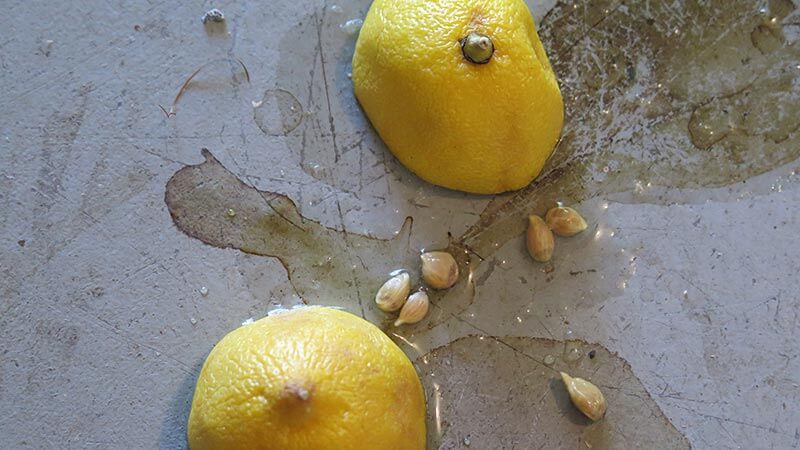HOW TO CLEAN GARAGE FLOOR WITH LEMONS