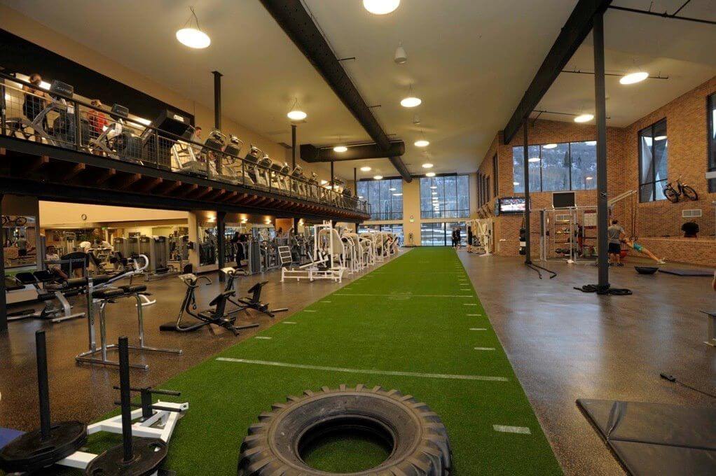 ARTIFICIAL TURF GARAGE GYM FLOORING IDEAS