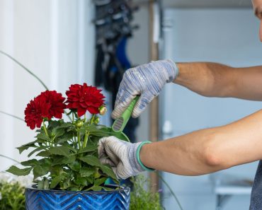 Sustainable Practices for Your Garage π Sustainable Practices for Your Garage π