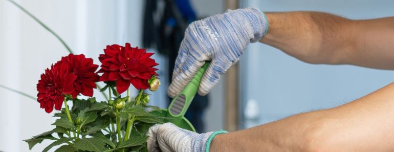 Sustainable Practices for Your Garage 🍃