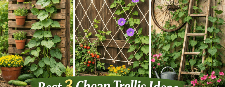 Best 3 Cheap Trellis Ideas That Instantly Transform Your Garden on a Budget