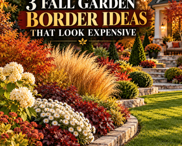 Best 3 Fall Garden Border Ideas That Will Make Your Backyard Look Stunning and Expensive